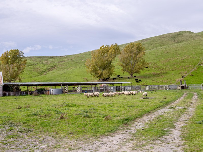 Longbush Road, Longbush, Carterton, 0房, 1浴