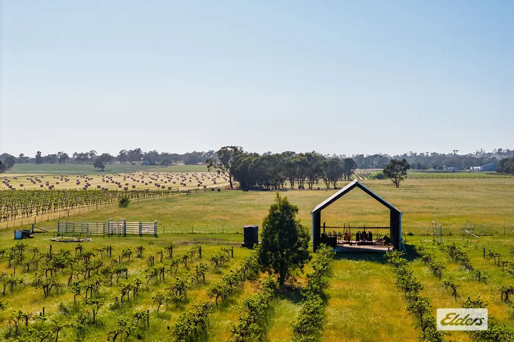 2986 Federation Way, Rutherglen, VIC 3685