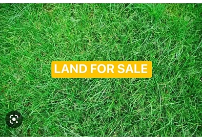 LOT 229-230 & 232-233 YORK Road, Angus, NSW 2765, 0 slaapkamers, 0 badkamers, Section