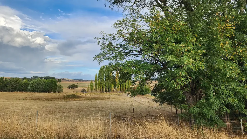 LOT Lot 10/13-19 Selwyn Street, Barry, NSW 2799