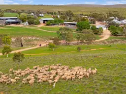 'Waterfalls' 264 Waterfalls Road, Dutton East