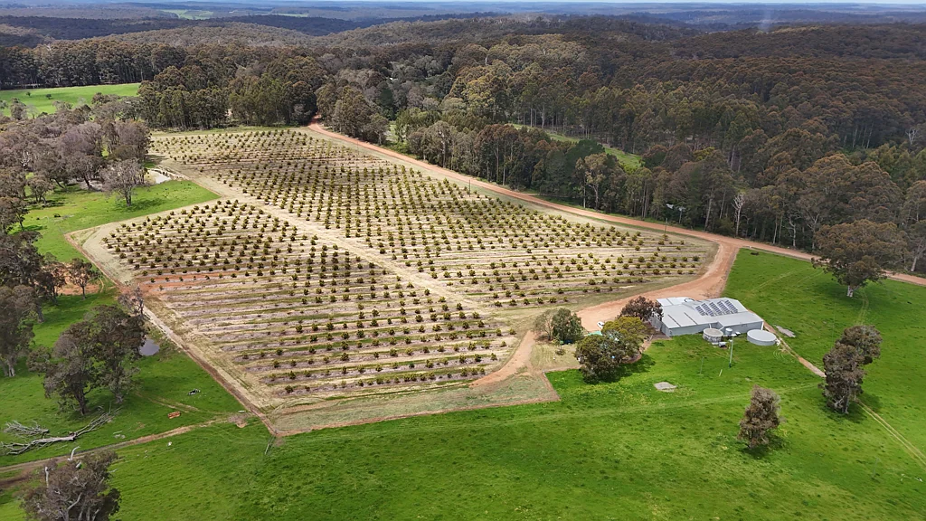 Pemberton Sweet South West, work life balance