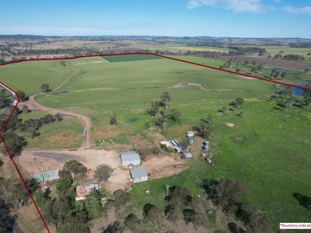 Monto Blue Ribbon Irrigation & Mixed Farming Enterprise