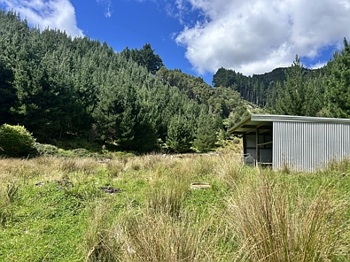 328B Kaka Road, Okoki, New Plymouth District, 0房, 0浴, Bare Land