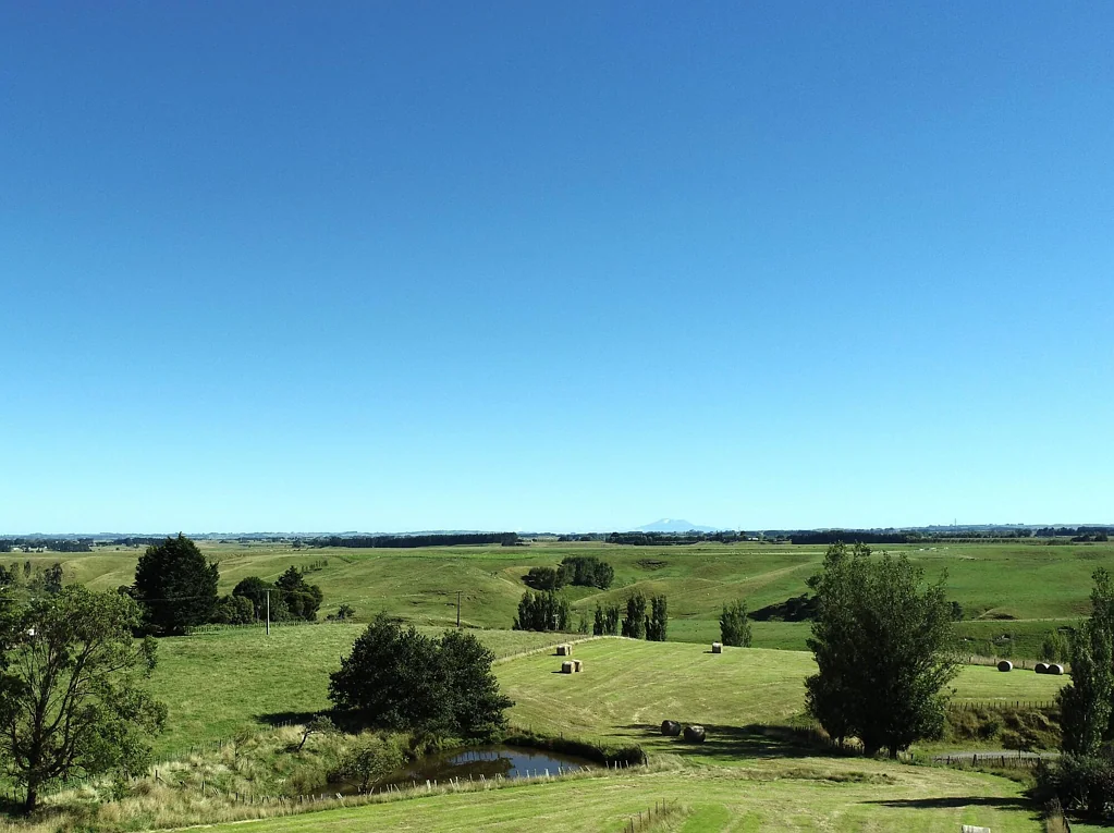 Feilding The Viewpoint | 1.47 Hectares
