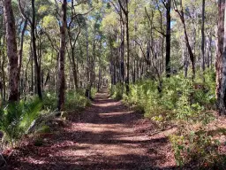 Lot 22 Oro Road, Dwellingup