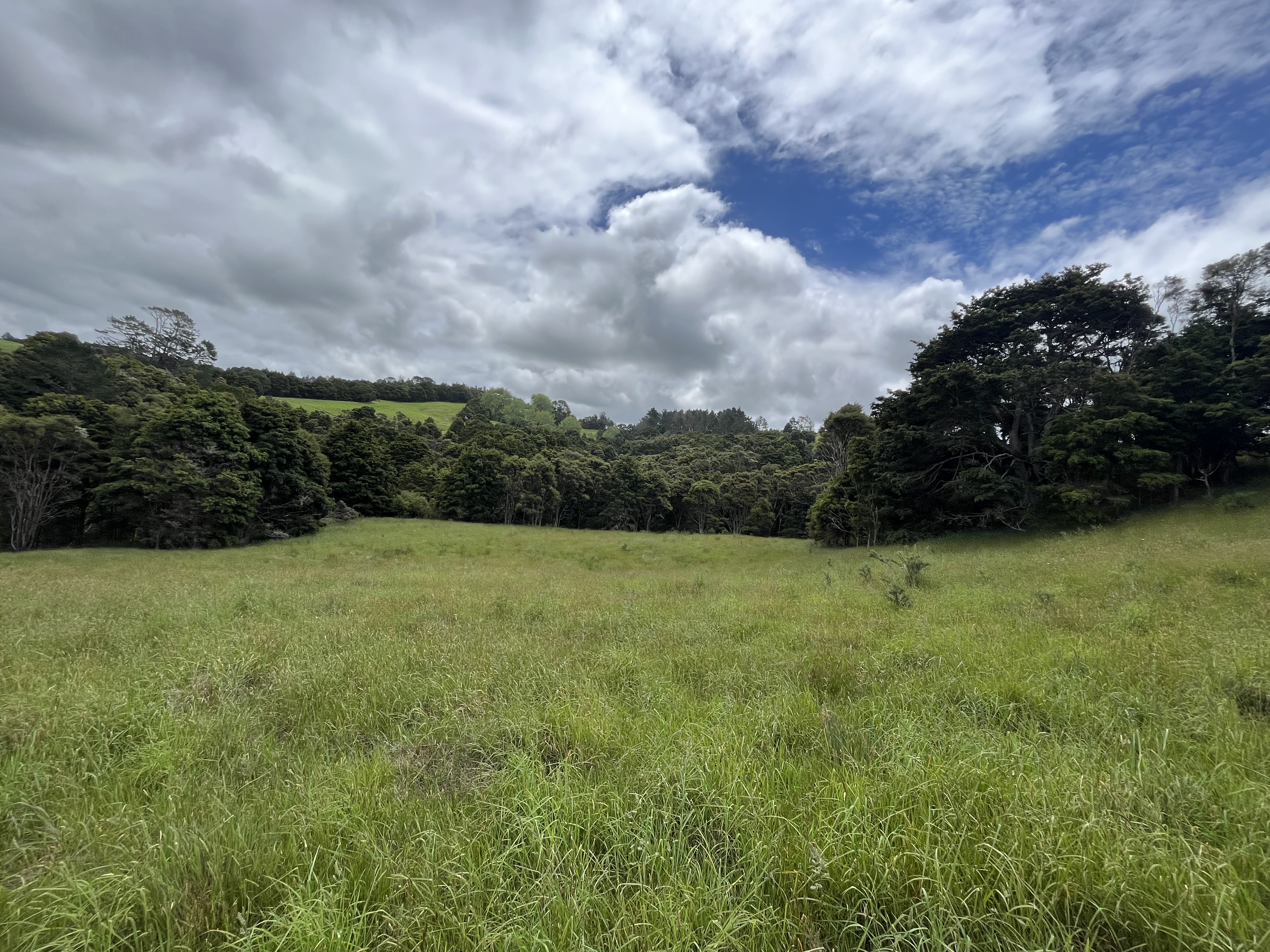 Franklin Road, Paparoa, Kaipara, 0房, 1浴, Lifestyle Section