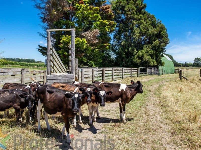 101 Golf Links Road, Coastlands, Whakatane, 0 rūma, 0 rūma horoi