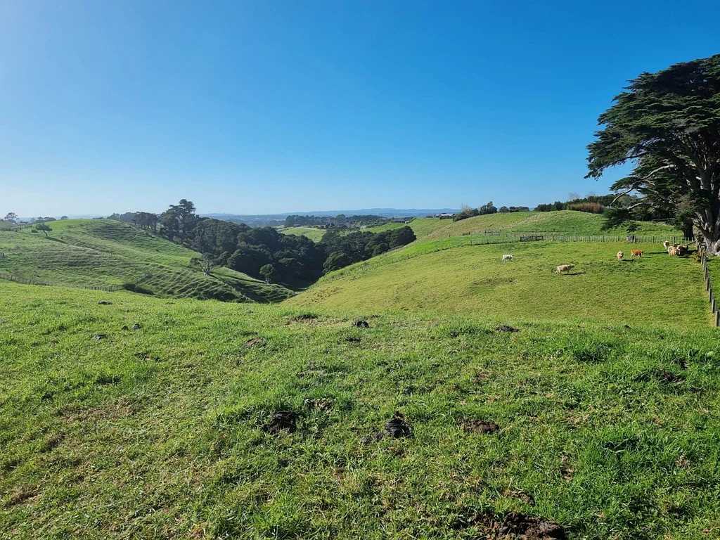 Waiuku SHARP PRICE! CALL THE BUILDER!