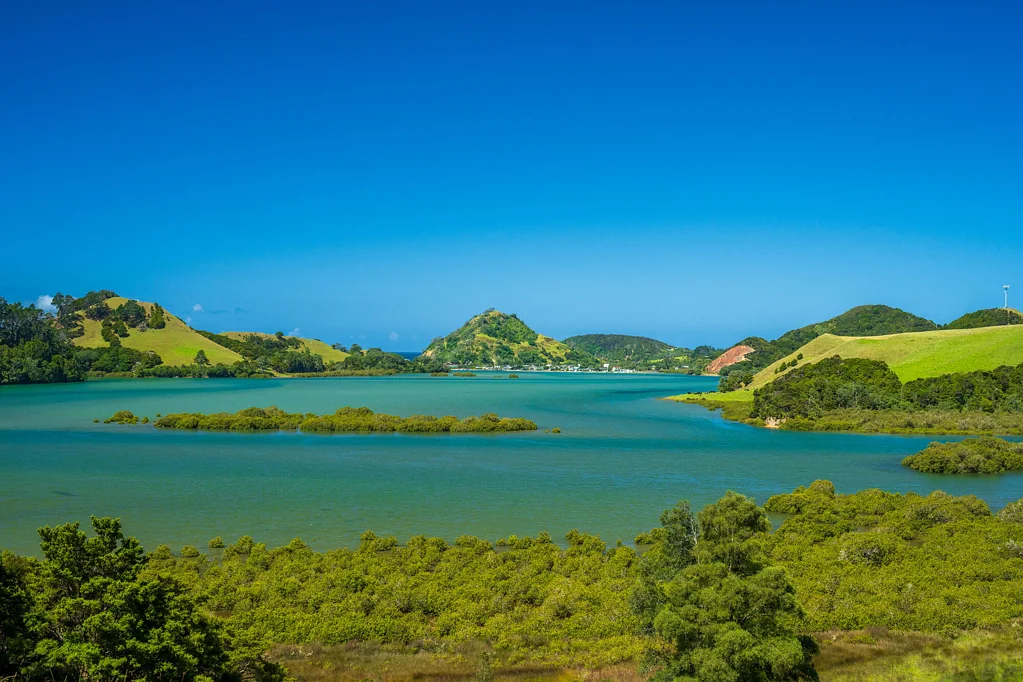 Parua Bay  Secluded Countryside Subdivision in Parua Bay