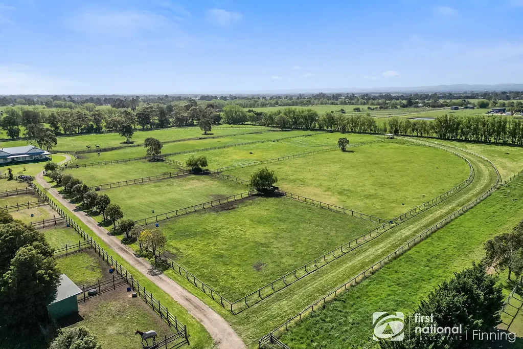 Bayles 38 ACRES OF QUALITY PASTURE & HORSE INFRASTRUCTURE