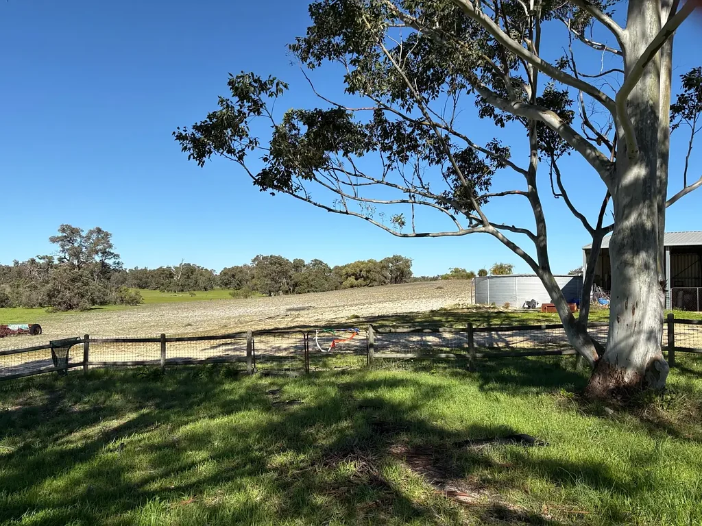 1196 Nabaroo Road, Wanerie, WA 6503