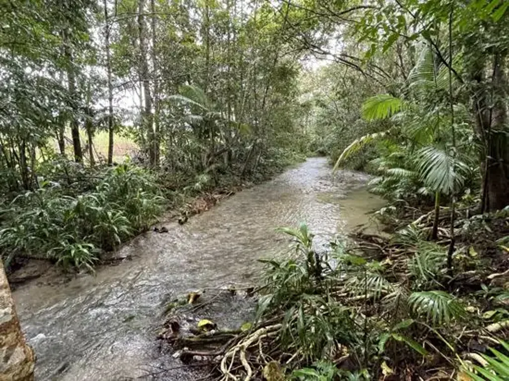 Babinda 1房  HERE IT IS ..... THE ULTIMATE BABINDA PROPERTY