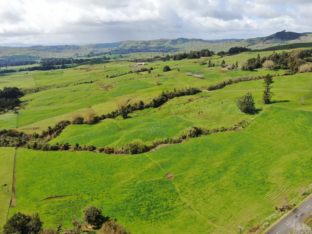 Te Kuiti Productive King Country Grazing Farm