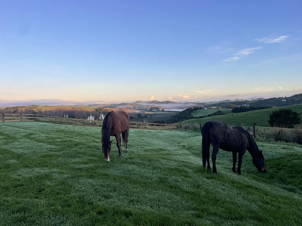 Kaiwaka 2房  Private, Profitable and Promising