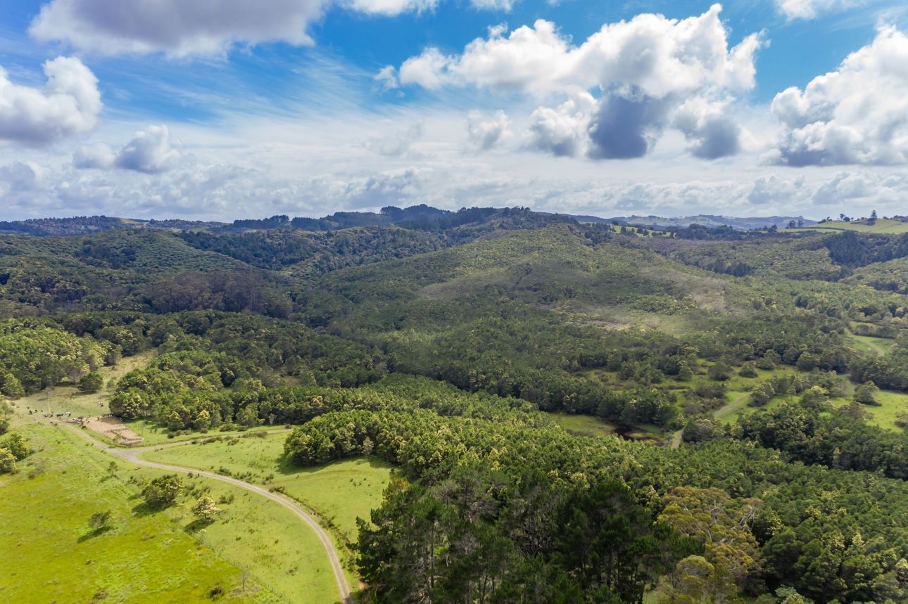 80a Jordan Road, Kaikohe, Far North, 2 rūma, 1 rūma horoi, Forestry