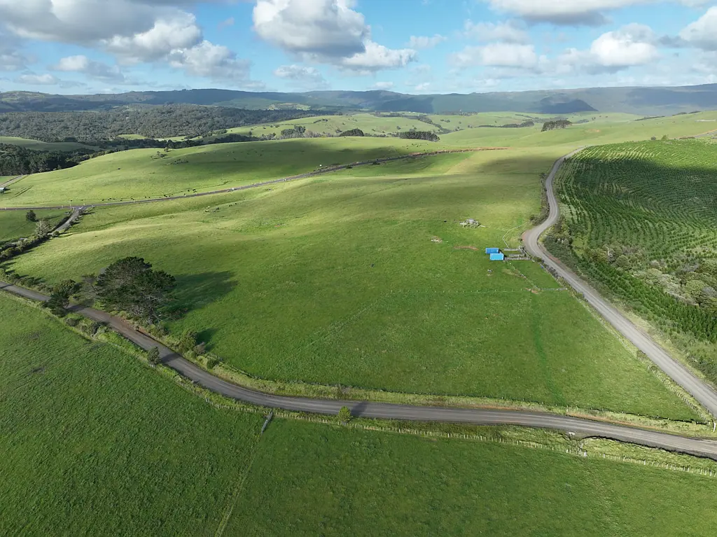 Dargaville Surrounds Three titles Three Ideas