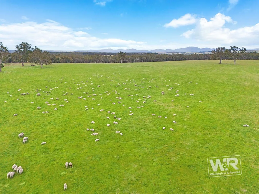 Mount Barker PRIME FARM LAND!