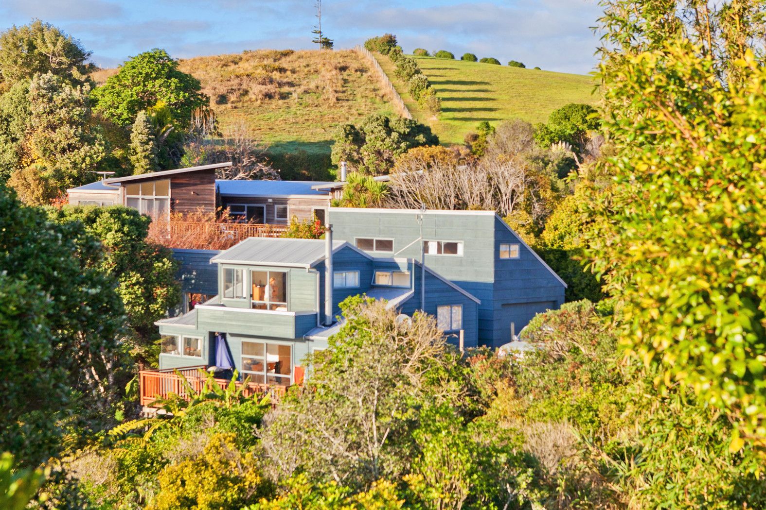 Hauraki Gulf Islands