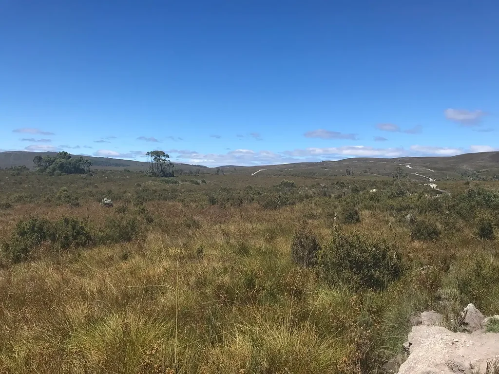 Zeehan  Montana Flats is a 95 acre property, mainly button grass plains, absolute privacy, no other properties visable to the horizon.