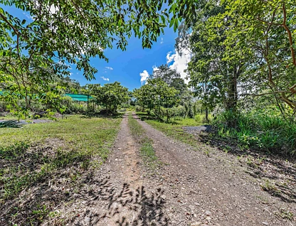 680 Saltwater Creek Road, Palm Grove, Mackay, 0 Schlafzimmer, 0 Badezimmer, Section