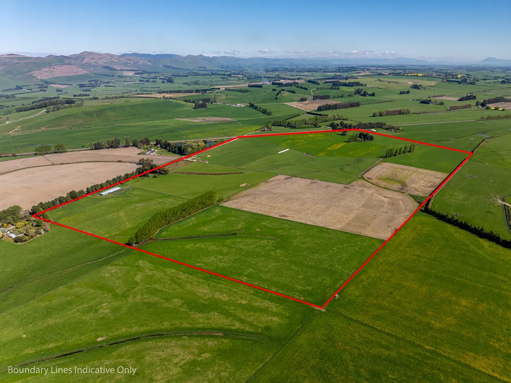 Gore Flat and fertile at Mandeville