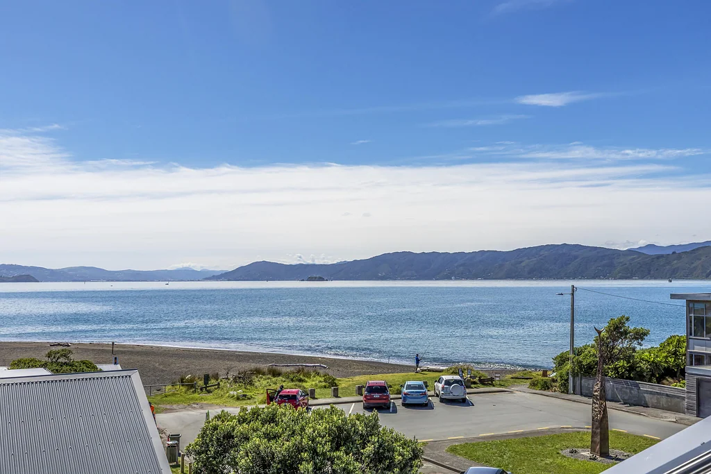 Seatoun 4બેડરૂમ SEASIDE SANCTUARY, SUN AND SPACE