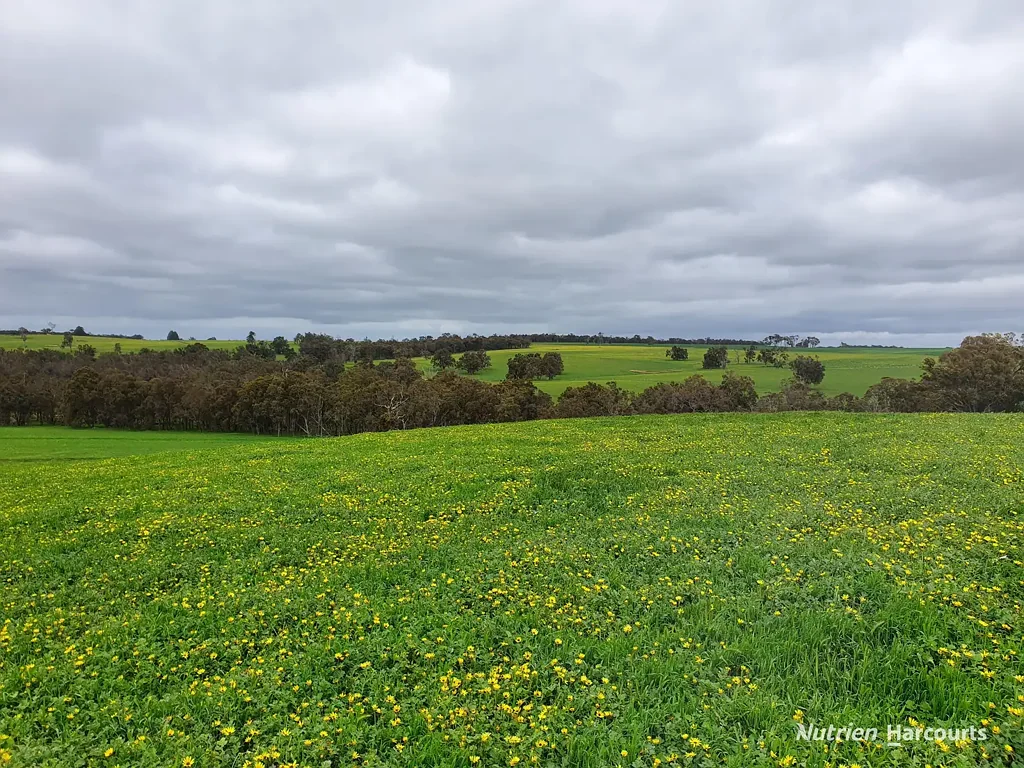 Frankland River "Consistent production capacity"