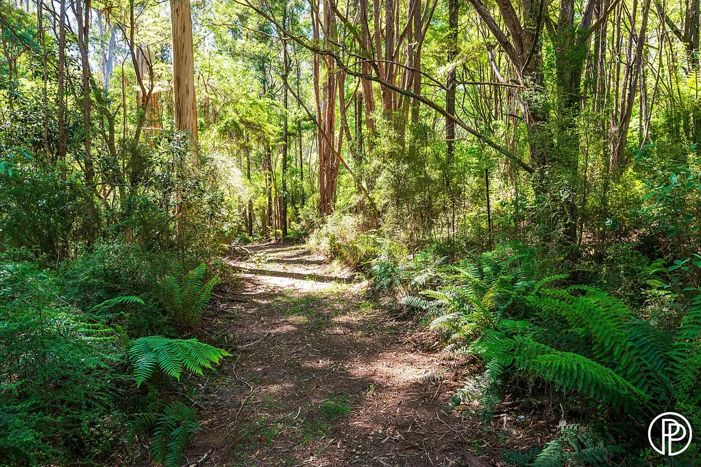 Warburton A SANCTUARY ON OVER 17 ACRES IN ‘OLD WARBURTON’, MOMENTS AWAY FROM THE NEW MOUNTAIN BIKE TRAILS