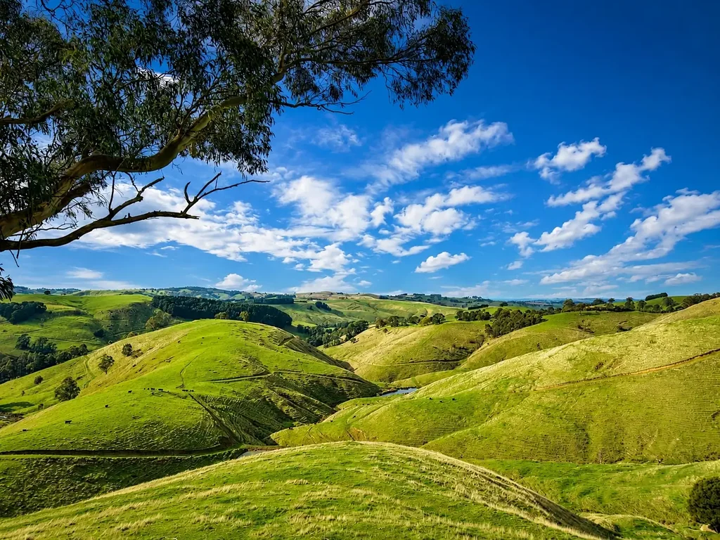 Wild Dog Valley Mixed Topography, Wilkur Creek and Operational Appeal | 83.70ha*