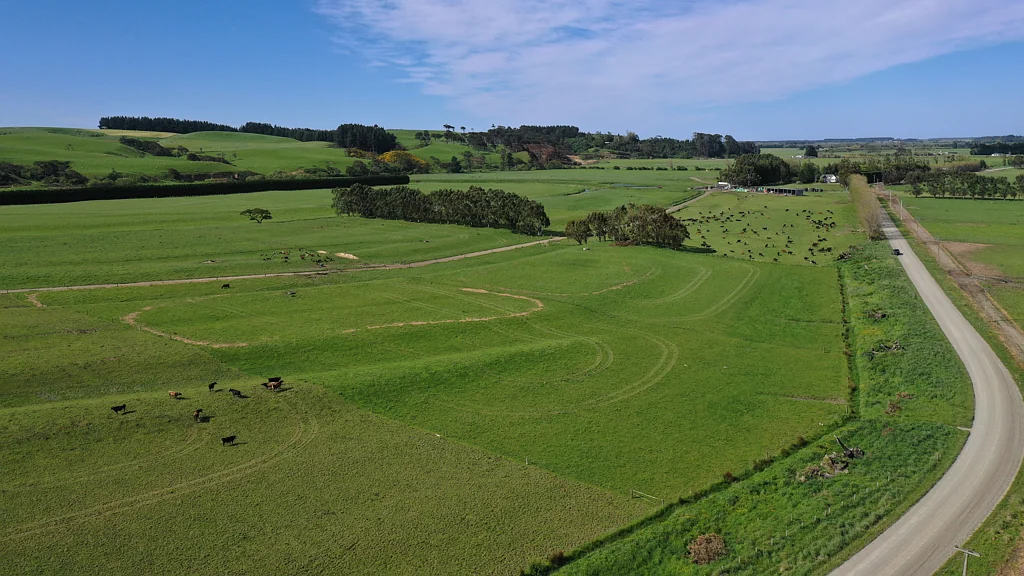 Wyndham Surrounds Well-Performing Dairy Unit