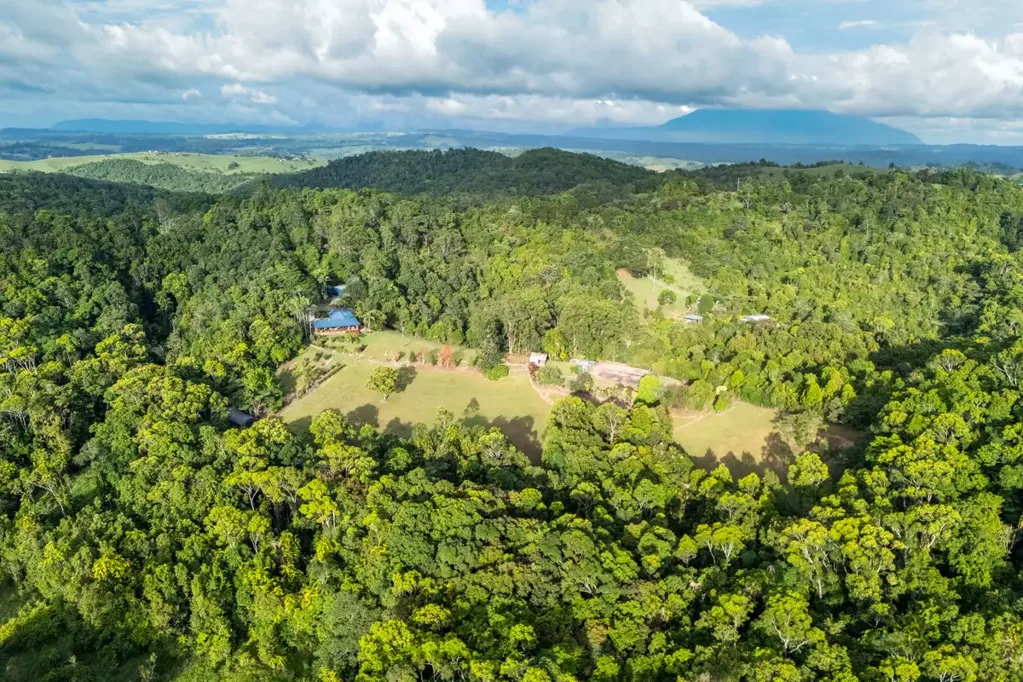 222 Hitchconole Road, Tarzali, QLD 4885