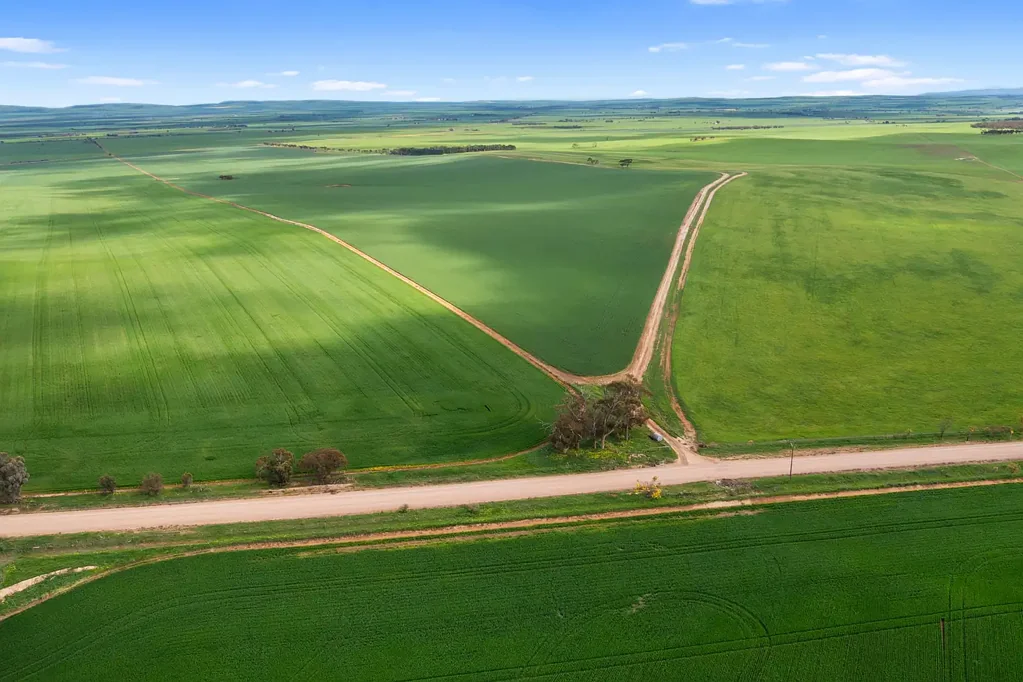 Brinkworth Productive Broadacre Holding in Reliable Rainfall District