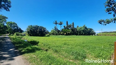 39 McDowall Lane, Lower Daintree, QLD 4873, 0 phòng ngủ, 0 phòng tắm, Section
