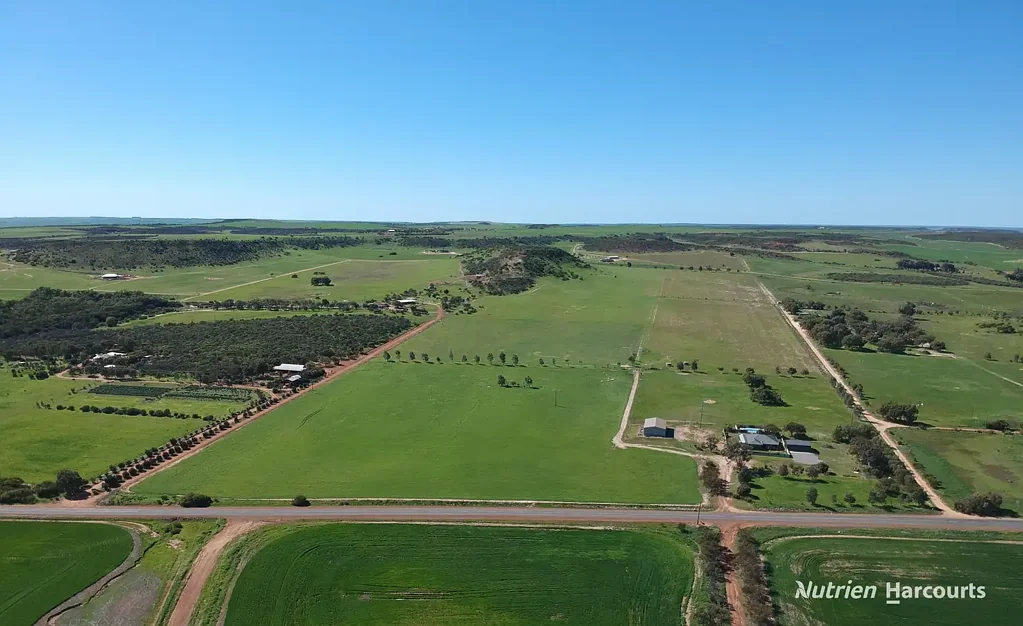 Narra Tarra 'Caliente' - 1824 Chapman Valley Road, NARRA TARRA.
