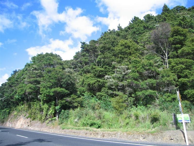 370 Kopu Hikuai Sh25a Road, Kopu, Coromandel, 0 Kuwarto, 0 Banyo