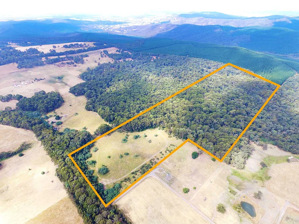 Boho South  The Perfect Escape ~ 105 acres of Nature?s Own