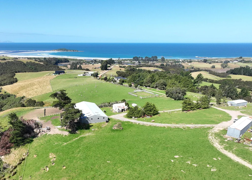 Taieri Mouth  Where the Land of Opportunity Meets the Sea