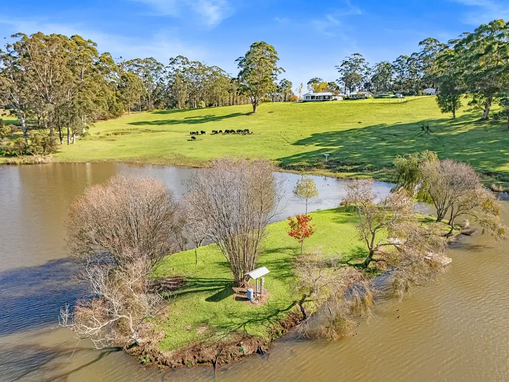Scotsdale "Springwood"