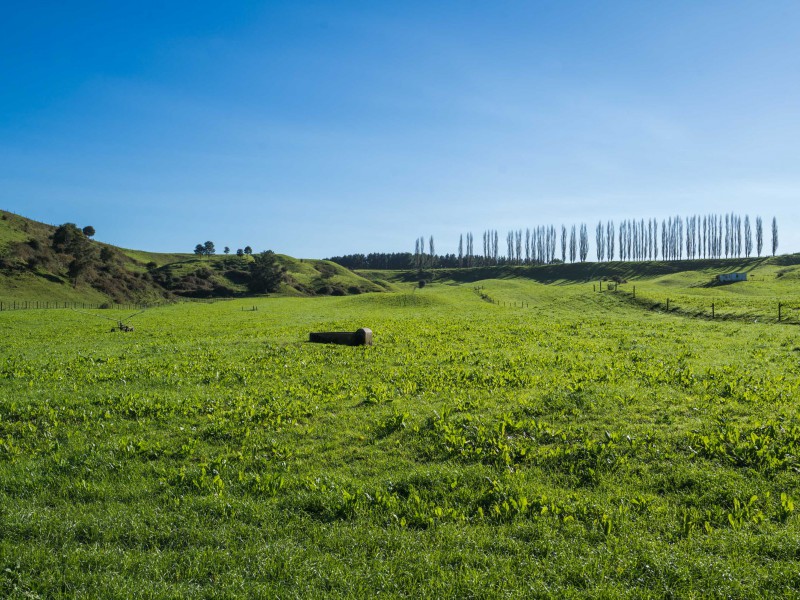 548 Mcdonald Road, Mangakino, Taupo, 0 Kuwarto, 0 Banyo