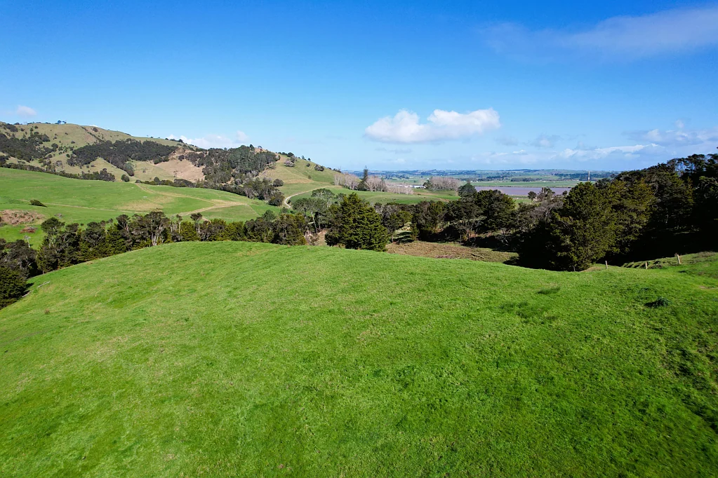 Dargaville A Slice of Paradise in the Heart of Northland