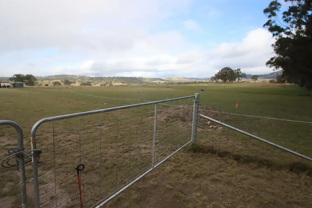 Tenterfield Out in the country..