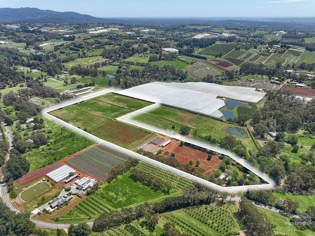 250 Wandin Creek Road, Wandin East, VIC 3139