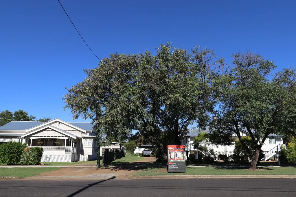 Dalby 11 Bedroom Invest in Your Future