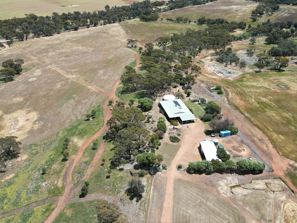 West Pingelly  Price Adjustment - An Investment that Keeps on Growing