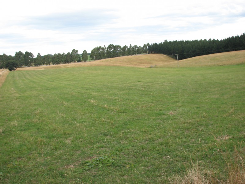 Finlays Road, Five Forks and Surrounds, Waitaki, 0 ਕਮਰੇ, 1 ਬਾਥਰੂਮ