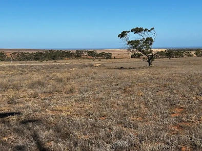其他 - Section 30 Carmody Road, Midgee, SA 5602