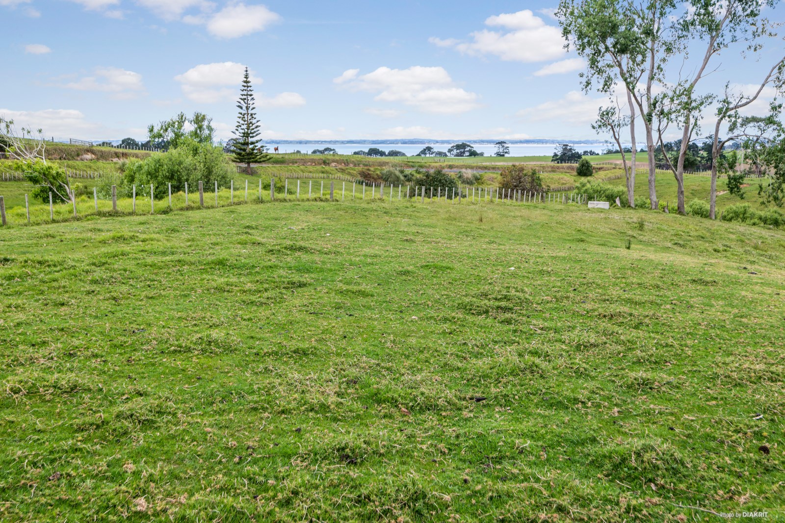 20 Andrew Pye Road, Manukau Heads, Auckland - Franklin, 0 rūma, 0 rūma horoi