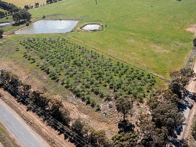 00 Cluggs Road, Springhurst, VIC 3682, 0 Bedrooms, 0 Bathrooms, Lifestyle Property