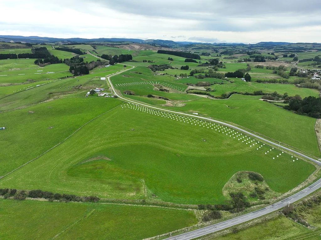 Wyndham Surrounds Established Dairy Grazing and Silage Unit